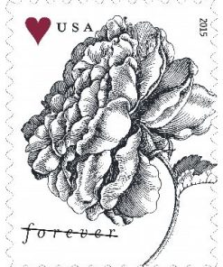 Vintage Rose First-Class Postage USPS Forever Stamps 100pcs/Pack (20PCS/Booklet)