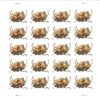2017 Celebration Corsage Two Ounce USPS First-Class Mail Forever Postage Stamps 100pcs/Pack (20PCS/Booklet)